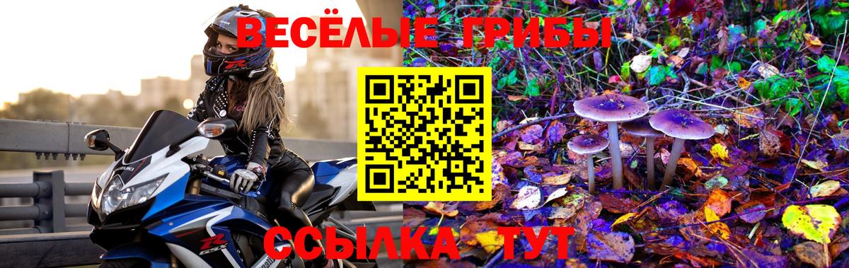Галлюциногенные грибы GOLDEN TEACHER Анжеро-Судженск