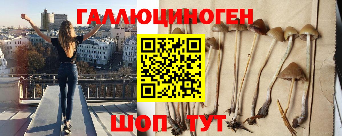 Галлюциногенные грибы мухоморы  Вход с VPN  Псилоцибиновые грибы MAGIC MUSHROOMS  Анжеро-Судженск 