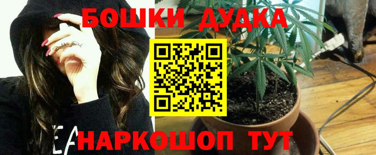 Шишки марихуана гибрид  Шишки марихуана SATIVA & INDICA  Анжеро-Судженск  Каннабис OG Kush  Вход с VPN 